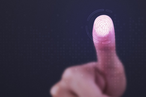 biometric security access utah